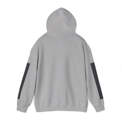 GREYLINE LINED UP Hoodie