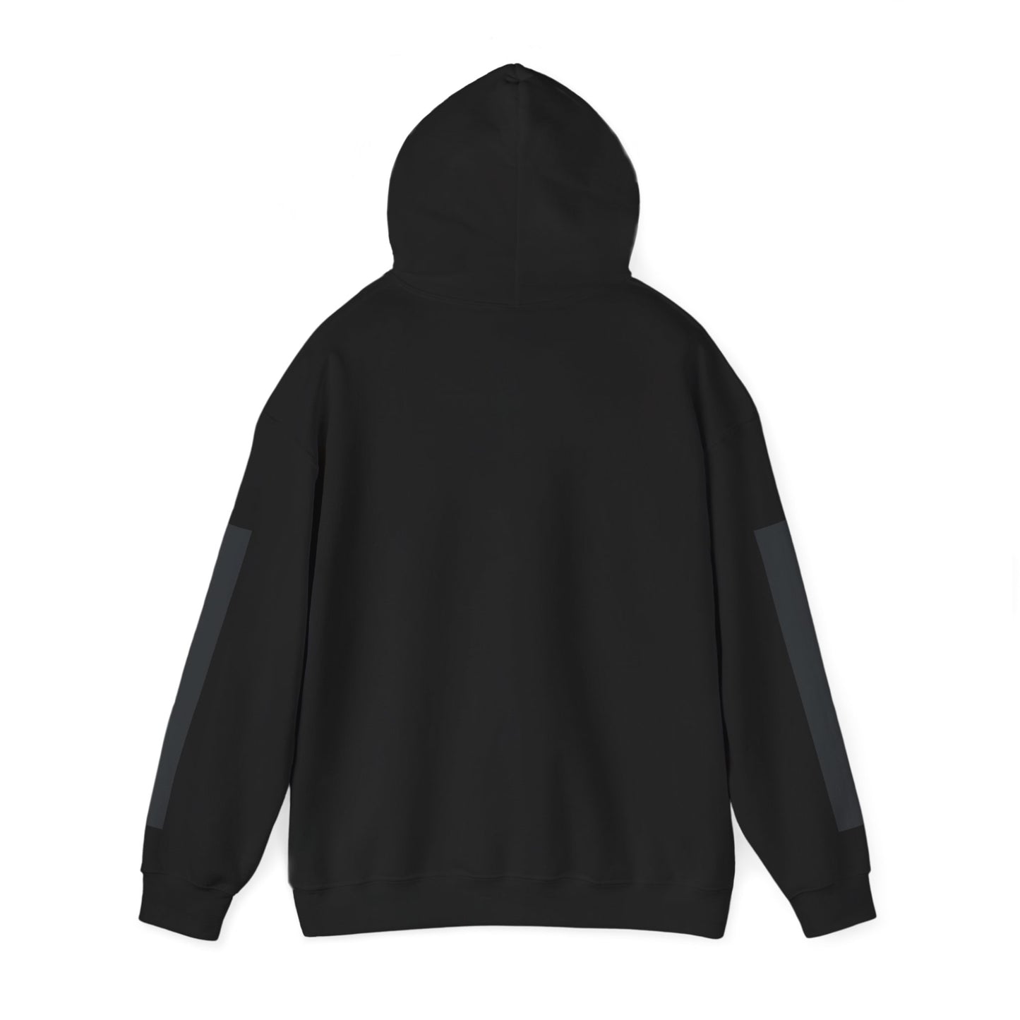GREYLINE LINED UP Hoodie