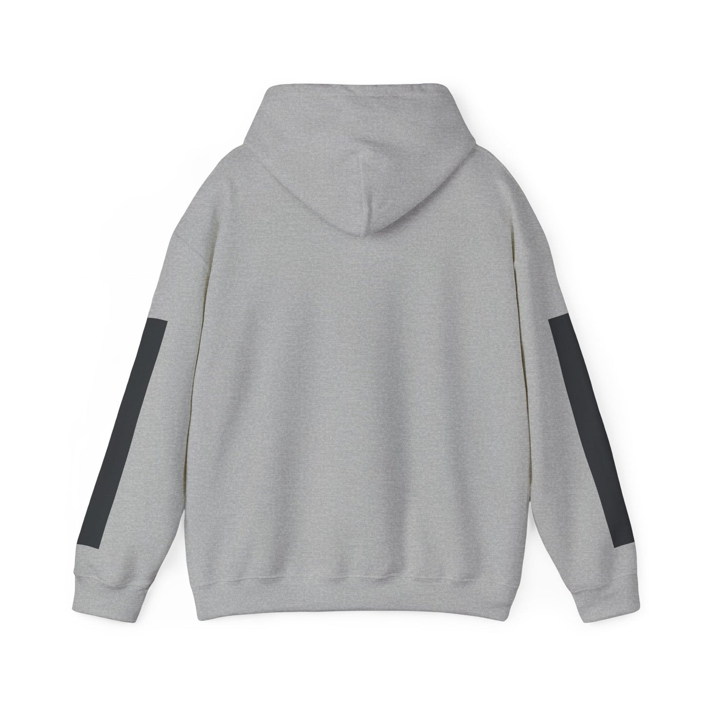 GREYLINE LINED UP Hoodie