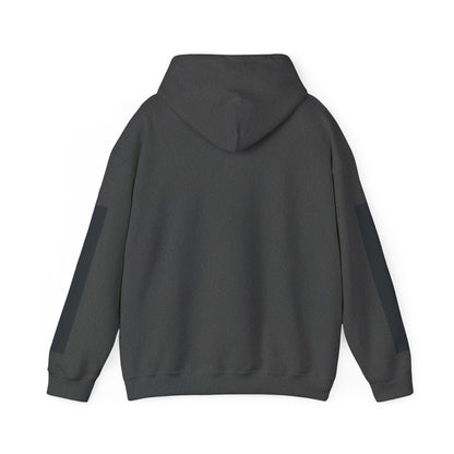 GREYLINE LINED UP Hoodie