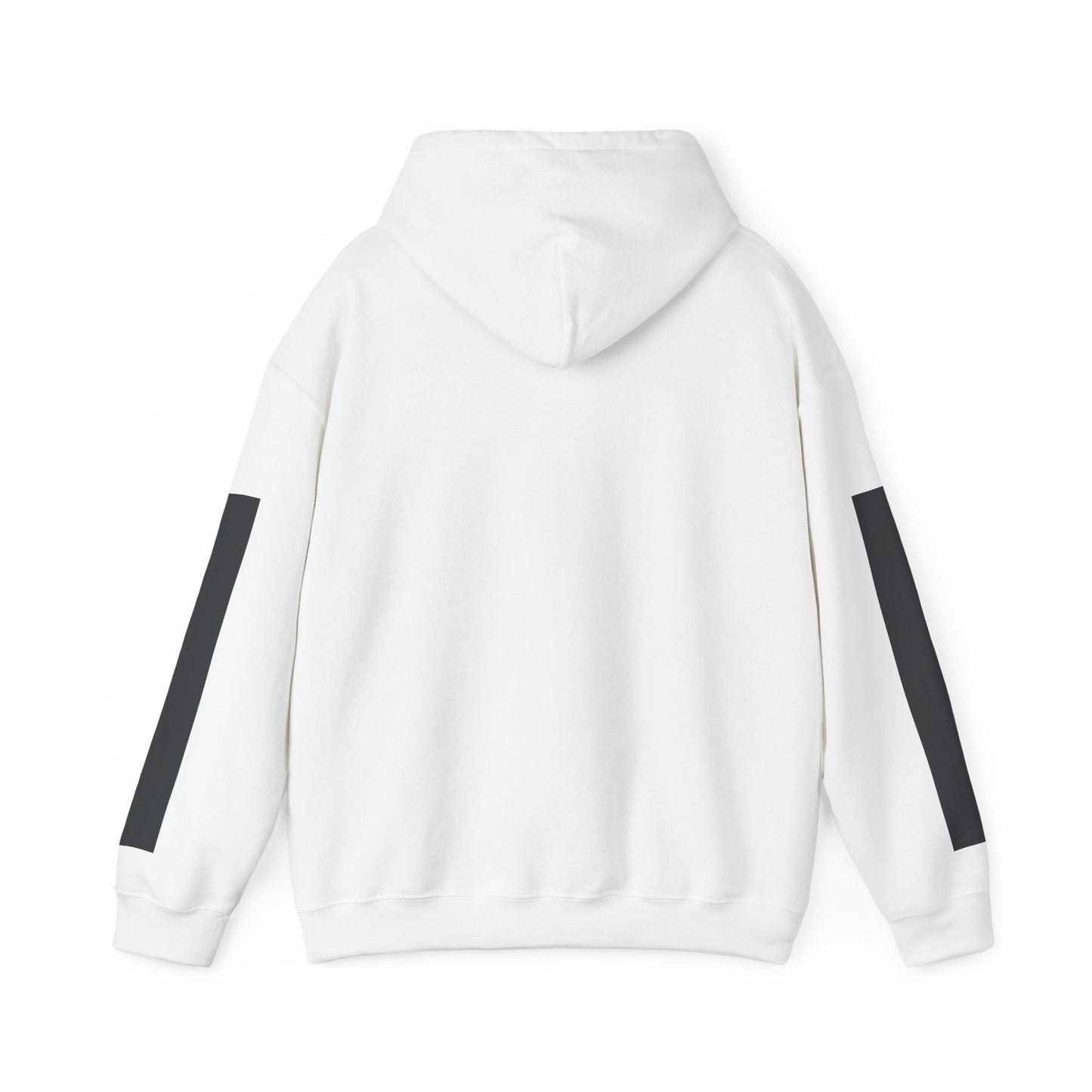 GREYLINE LINED UP Hoodie