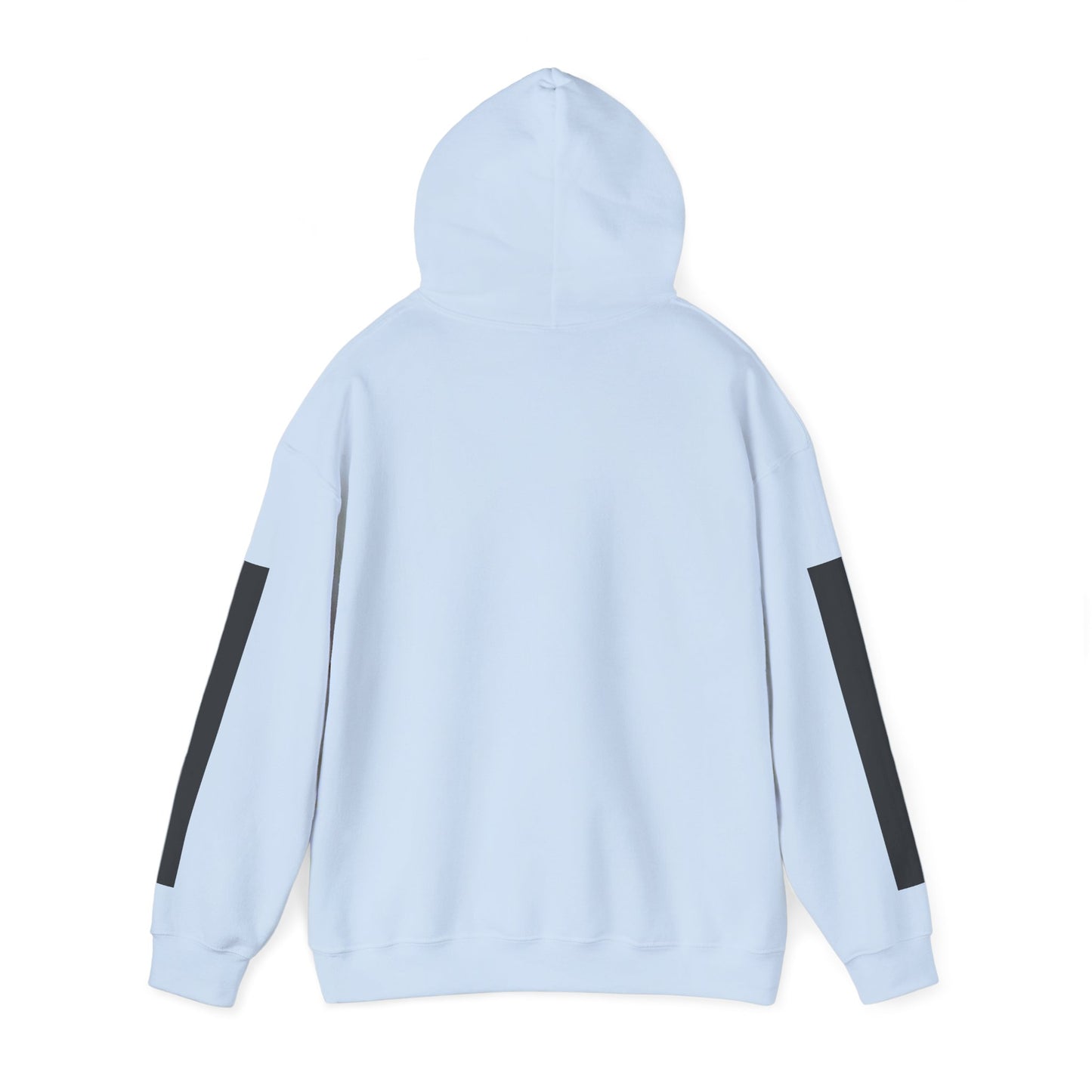 GREYLINE LINED UP Hoodie