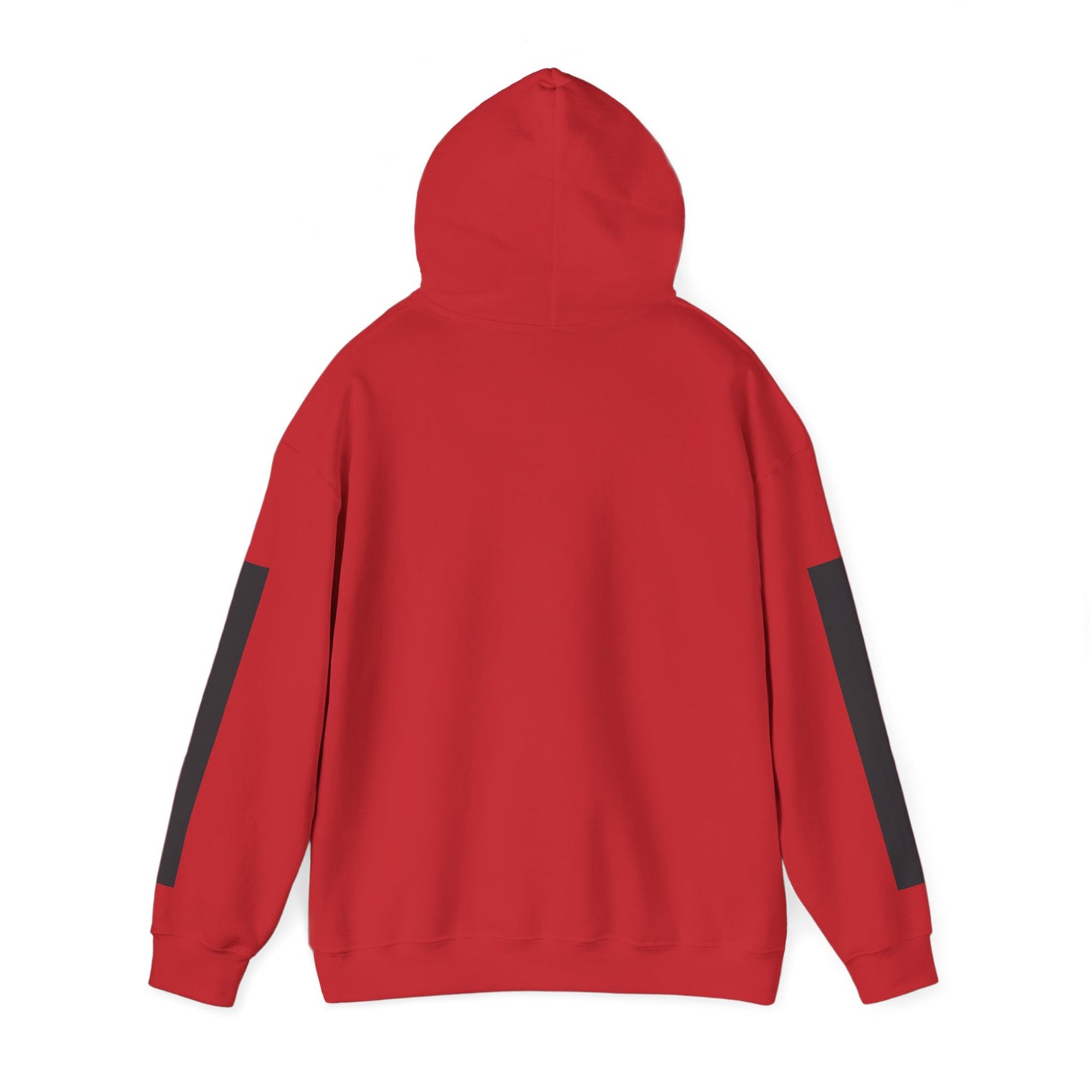 GREYLINE LINED UP Hoodie