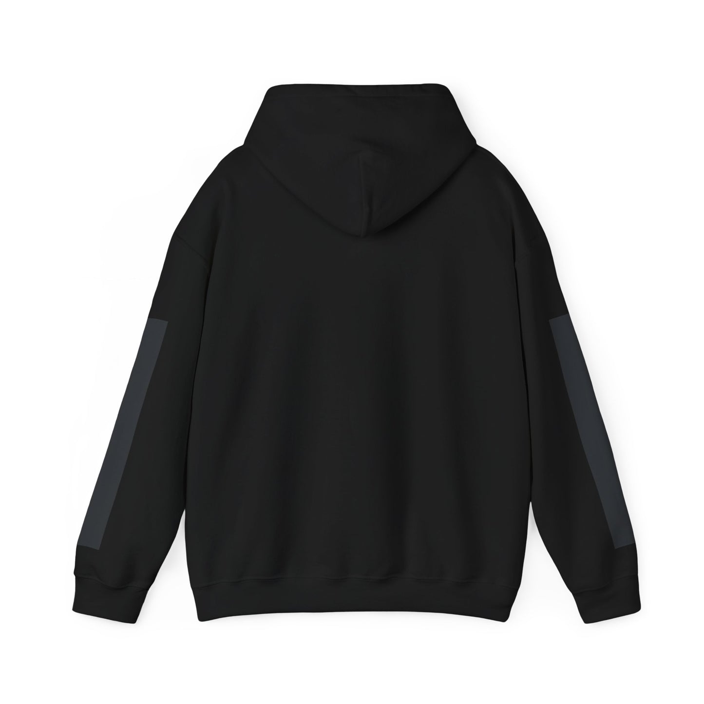 GREYLINE LINED UP Hoodie